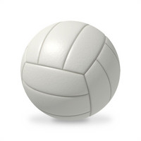 Volley Molten