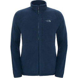 north face fleece glacier 100