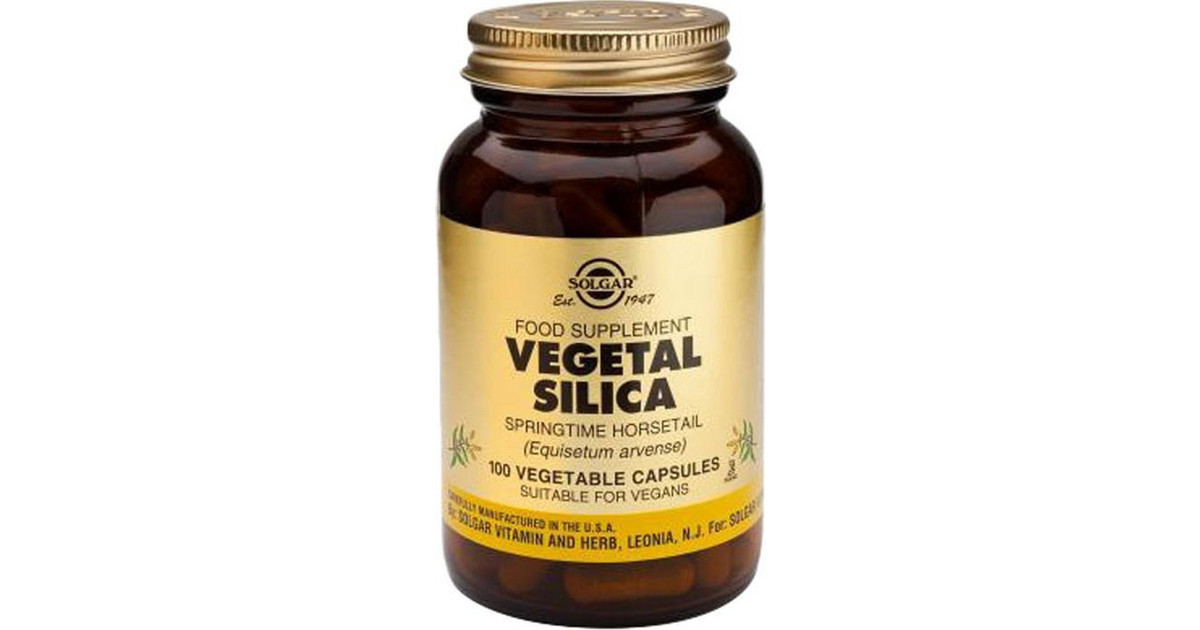 Vegetal Silica For Hair Growth Solgar Vegetal Silica 520mg 100s | BestPrice.gr