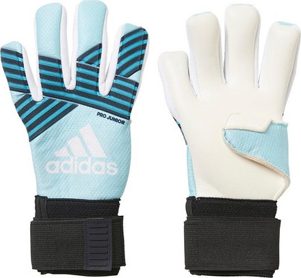 adidas ace transition pro goalkeeper gloves