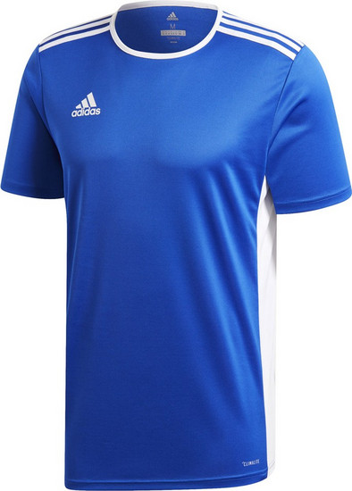 entrada jersey adidas